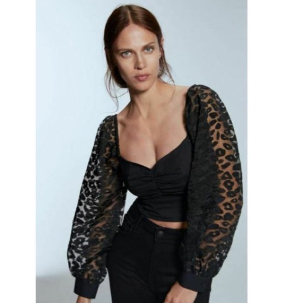 Zara Organza Leopard Crop Top